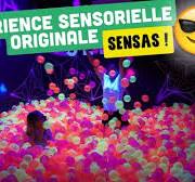 expérience sensorielle